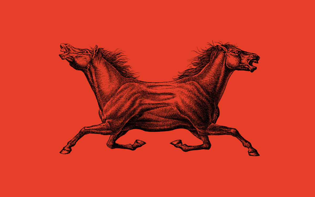 1566266740796905.jpg 2.jpg