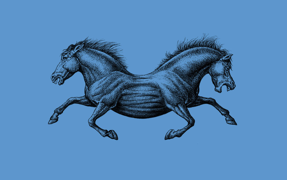 1566266756729388.jpg 5.jpg